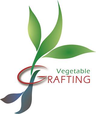logo vegetable grafting grande